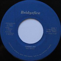 Download Gary Wilson - Cookie Jar Joy