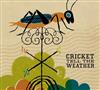 ascolta in linea Cricket Tell The Weather - Cricket Tell The Weather