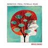 baixar álbum Steven Bernstein, Paolo Fresu, Gianluca Petrella, Marcus Rojas - Brass Bang