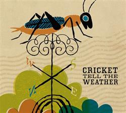 Download Cricket Tell The Weather - Cricket Tell The Weather