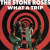 écouter en ligne The Stone Roses - What A Trip