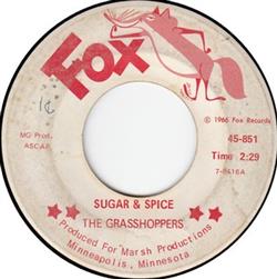 Download The Grasshoppers - Sugar Spice Very Last Day