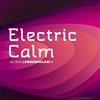 écouter en ligne Various - Electric Calm V5