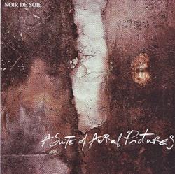 Download Noir De Soie - A Suite Of Aural Pictures