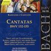 ouvir online Johann Sebastian Bach, Helmuth Rilling, Bachcollegium Stuttgart - Cantatas BWV 152 155 Vol47