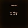 last ned album Kirill Platonkin - 509