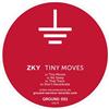 descargar álbum ZKY - Tiny Moves