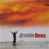 last ned album Vineyard Music Brasil - Grande Deus