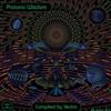 télécharger l'album Various - Protonic Wisdom