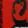 descargar álbum Amy Rigby - Middlescence