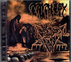 Download Prophecy - Global Decay
