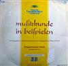 descargar álbum Various - Zeitgenössische Musik Musikepochen VII
