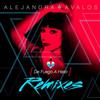 last ned album Alejandra Avalos - De Fuego A Hielo Remixes