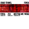 télécharger l'album Jonas Dunkel - Fovea