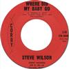 lataa albumi Steve Wilson , Alan Storm And The Esquires - Where Did My Baby Go