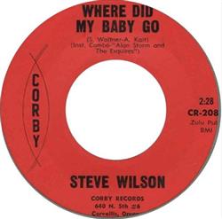 Download Steve Wilson , Alan Storm And The Esquires - Where Did My Baby Go