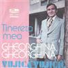 last ned album Vujica Vujičić - Tinereta Mea Gheorghină Gheorghină