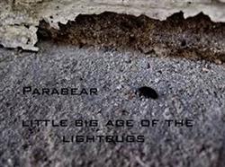 Download parabear - Little Big Age Of The Lightbugs