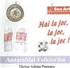 écouter en ligne Ansamblul Folklorika Dirijor Adrian Petrescu - Hai La Joc La Joc La Joc