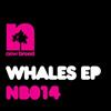 last ned album Diego Miranda & Jackspot - Whales EP