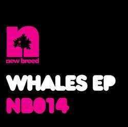 Download Diego Miranda & Jackspot - Whales EP