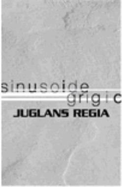 Download Juglans Regia - Sinusoide Grigio