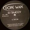 descargar álbum DJ Shaggy - Special Fractal Core
