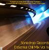 écouter en ligne Various - Essential Chill Mix Vol IV Light At The End Of The Tunnel