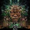 Album herunterladen Arkomo - Spirit Of The Forest