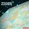 lataa albumi Ziger - Lost Precision