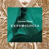 last ned album Luciano Chessa - Entomologia