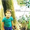 lataa albumi Falgar - The Turning Of The Wheel