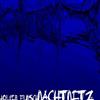 last ned album Holger Flinsch - Nachtnetz