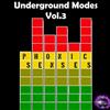 descargar álbum Phonic Senses - Underground Modes Vol 3