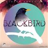Sjoerd Korsuize - Blackbird