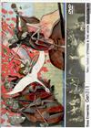 Album herunterladen Tetsu Saitoh - Strings The Moon