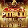 descargar álbum Pitbull - Mucho K