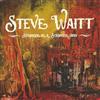 baixar álbum Steve Waitt - Stranger In A Stranger Land