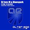 last ned album Dj Ives M & Bluespark - Flying To Alaska