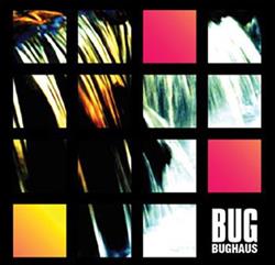 Download Bug - Bughaus
