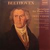 descargar álbum Beethoven, Trio Vidom, Viktor Derevianko, Dora Schwarzberg, Mark Drobinski - Variations for Piano Trio Complete Works