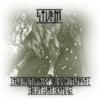Album herunterladen Sturm - The Return Of Bloodthirst Blut Und Krieg