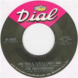 Download The Brotherhood - Are You A Turtle Yes I Am Mari
