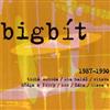 Album herunterladen Various - Bigbít 1987 1990