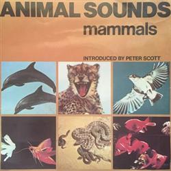 Download Unknown Artist - Animal Sounds Mammals