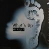 last ned album Various - Whats Up Mix It Mo DJs Under A Groove 3