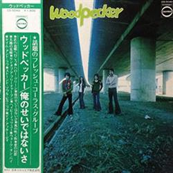 Download ウッドペッカー - Woodpecker