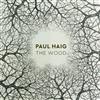 descargar álbum Paul Haig - The Wood