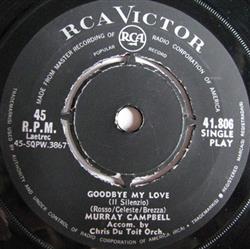 Download Murray Campbell Accompanied By Chris Du Toit Orchestra - Goodbye My Love