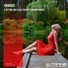 télécharger l'album Hamaeel - A Lifetime And A Half Calvin OCommor Remix